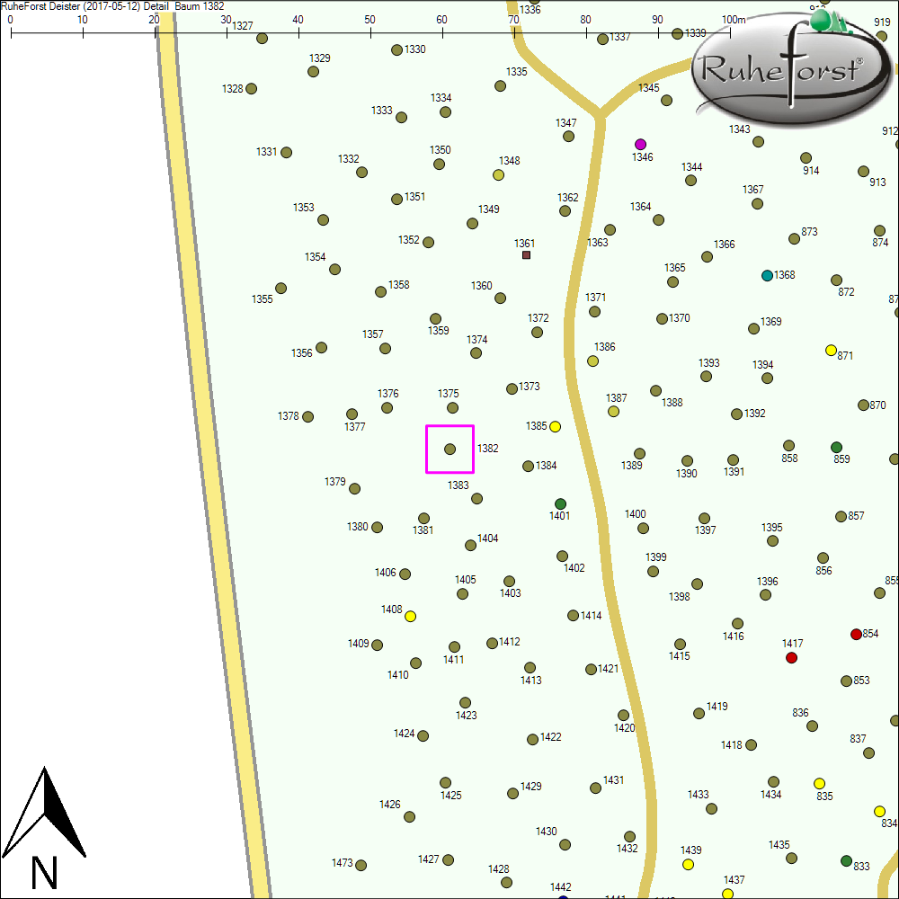 Detailkarte zu Baum 1382