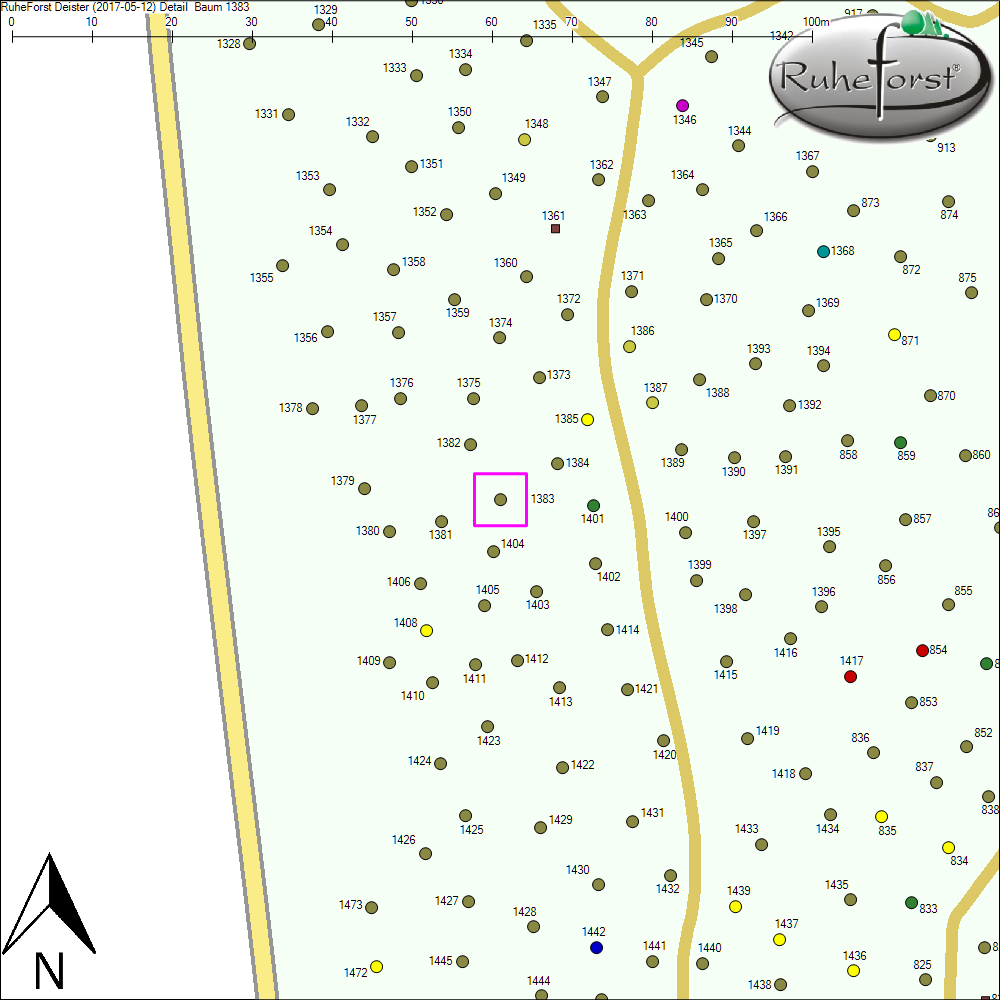 Detailkarte zu Baum 1383