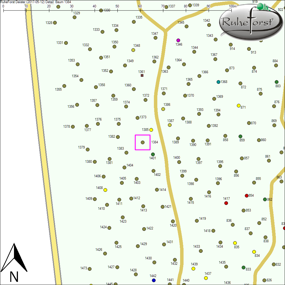 Detailkarte zu Baum 1384