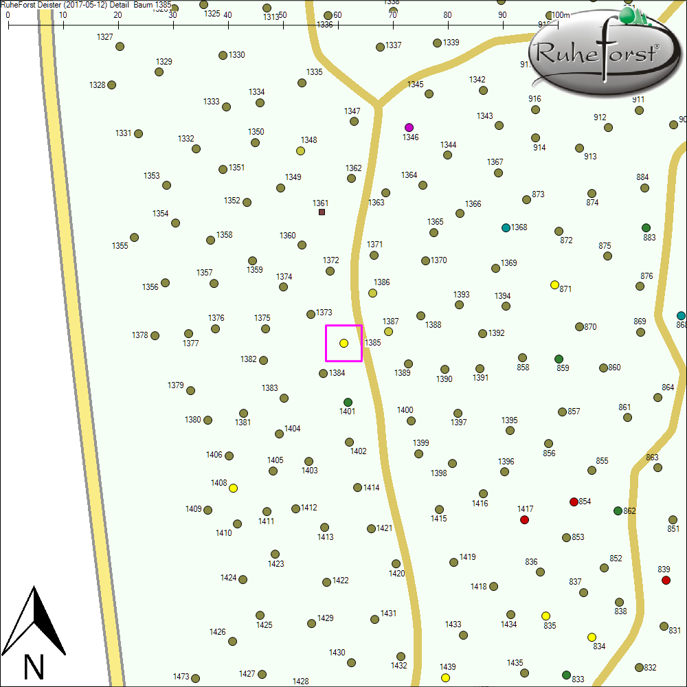 Detailkarte zu Baum 1385