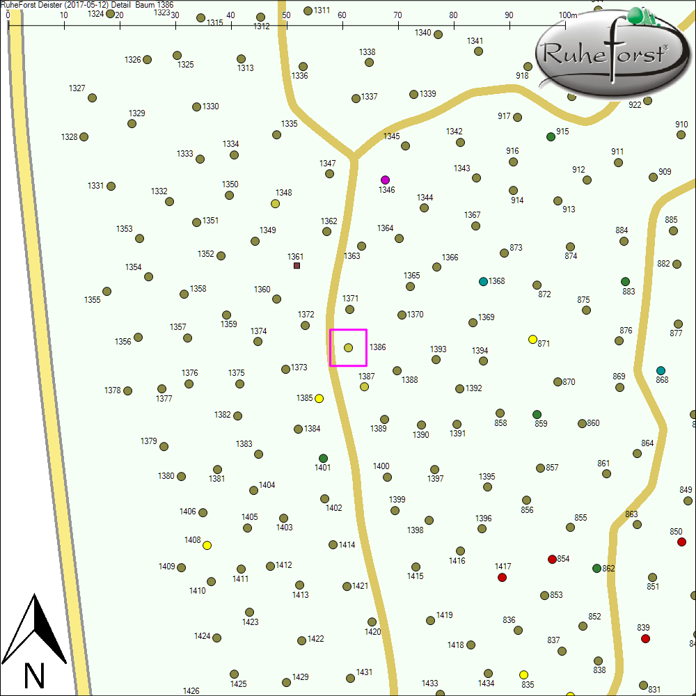 Detailkarte zu Baum 1386