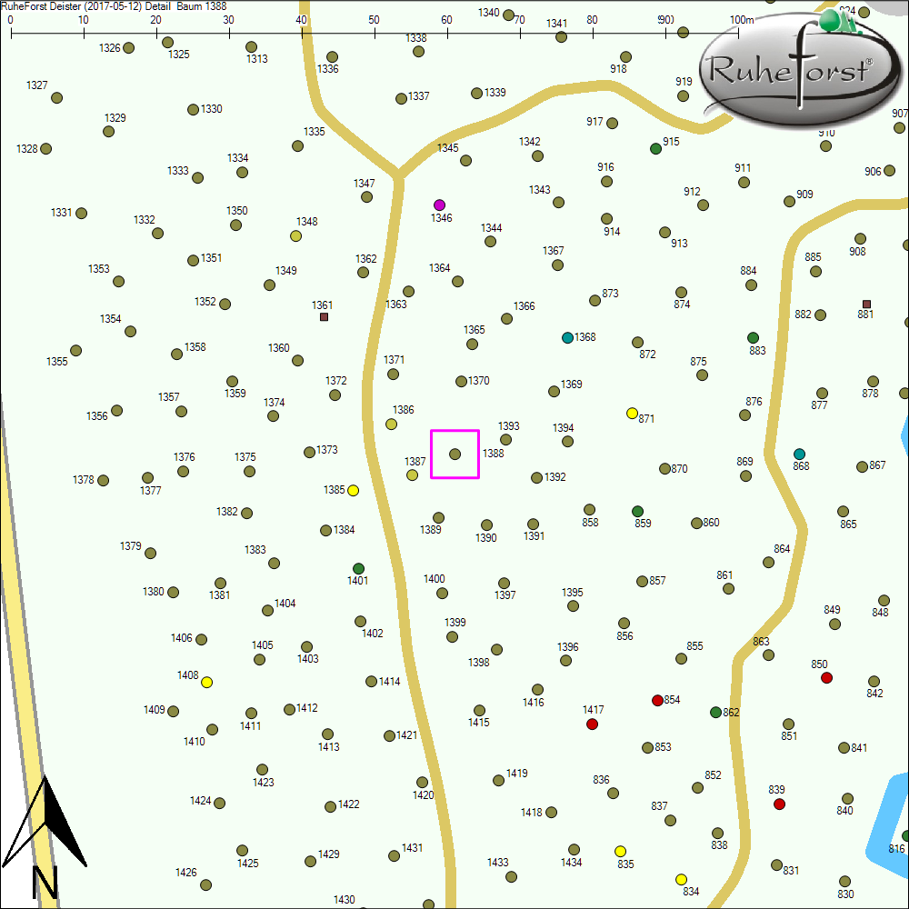 Detailkarte zu Baum 1388