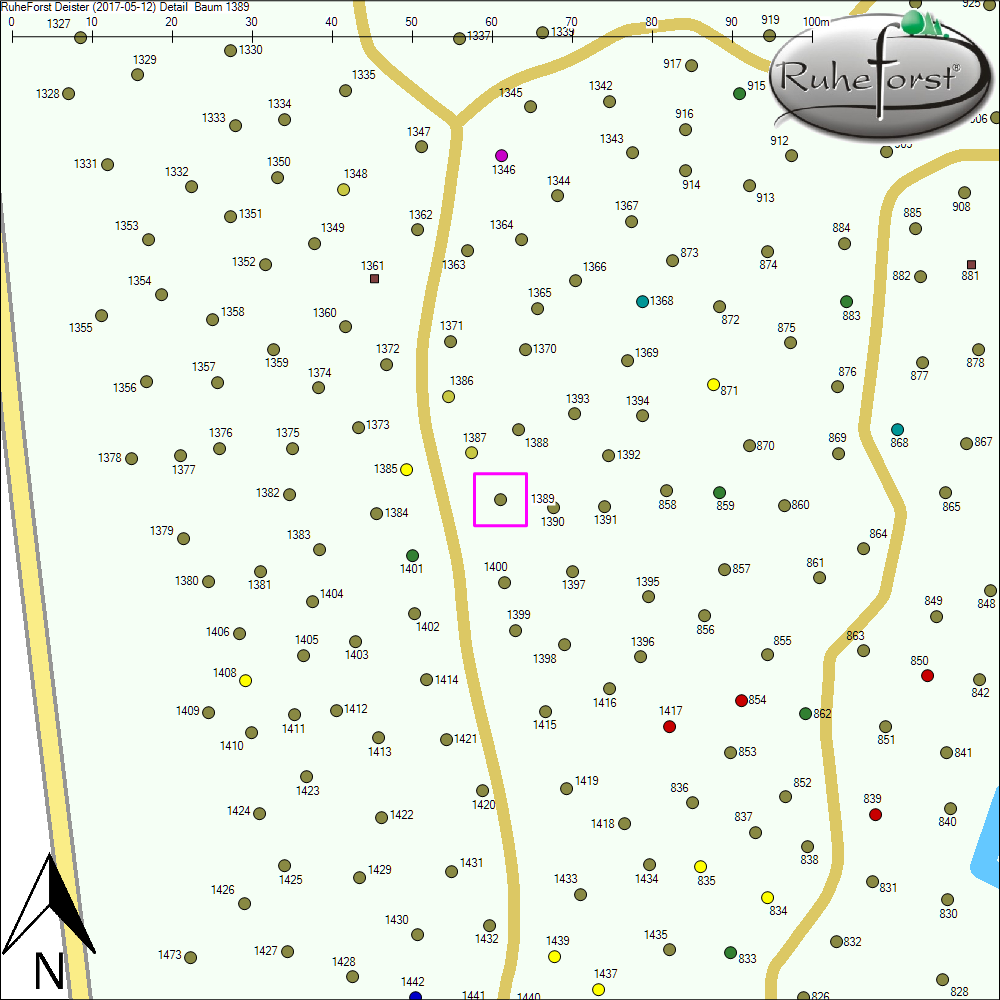 Detailkarte zu Baum 1389