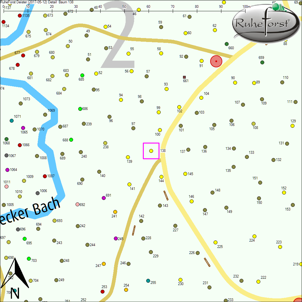 Detailkarte zu Baum 138