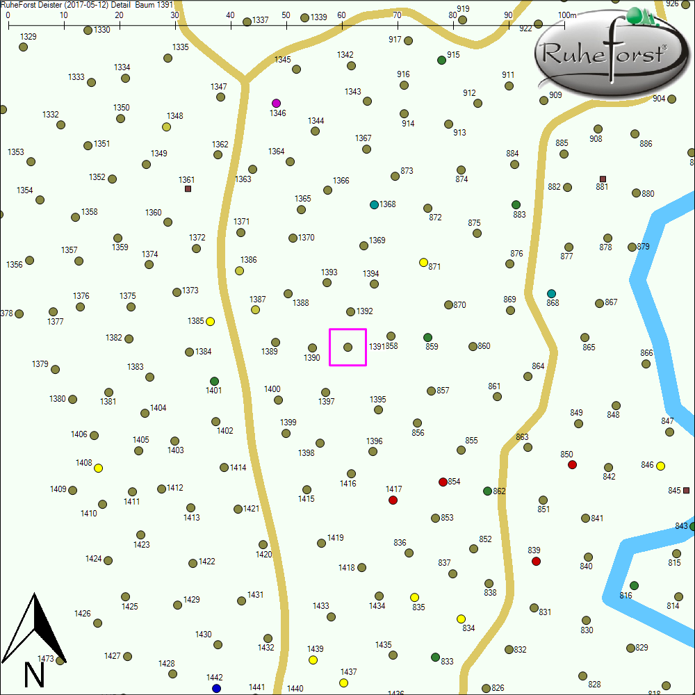 Detailkarte zu Baum 1391