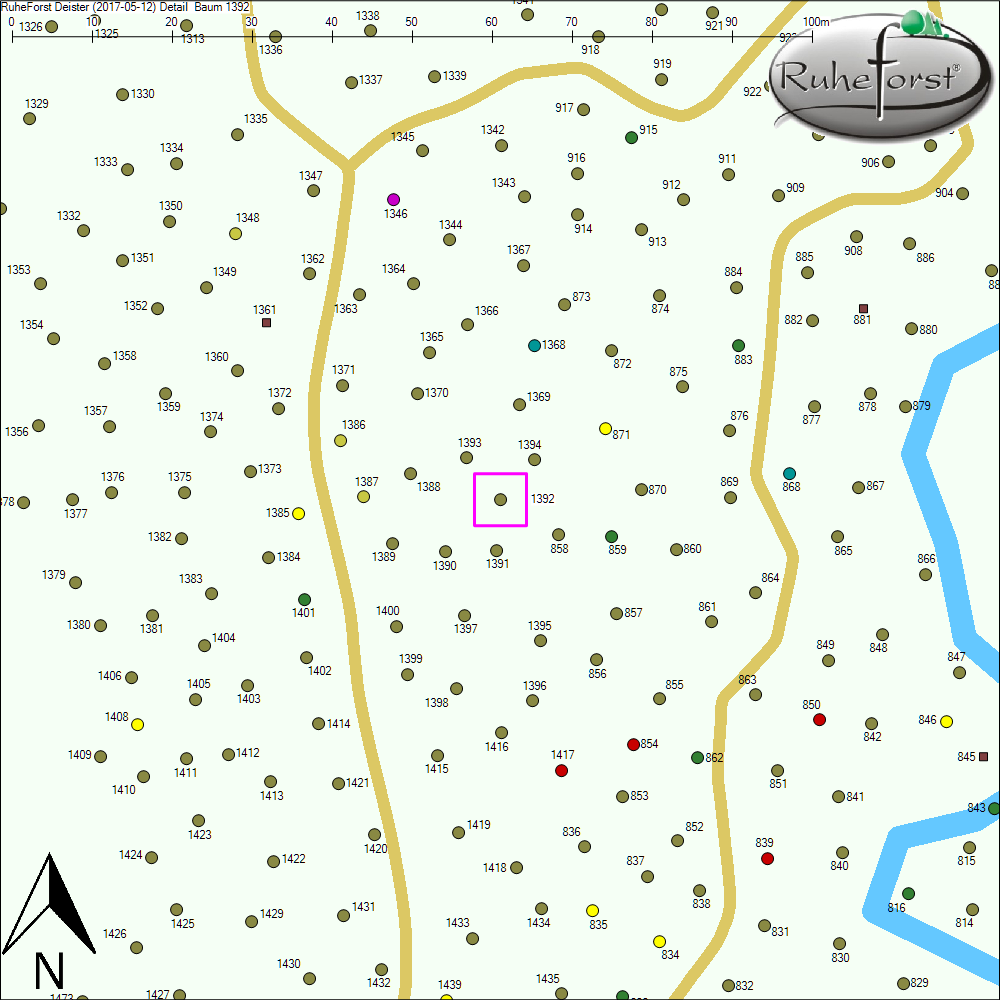 Detailkarte zu Baum 1392