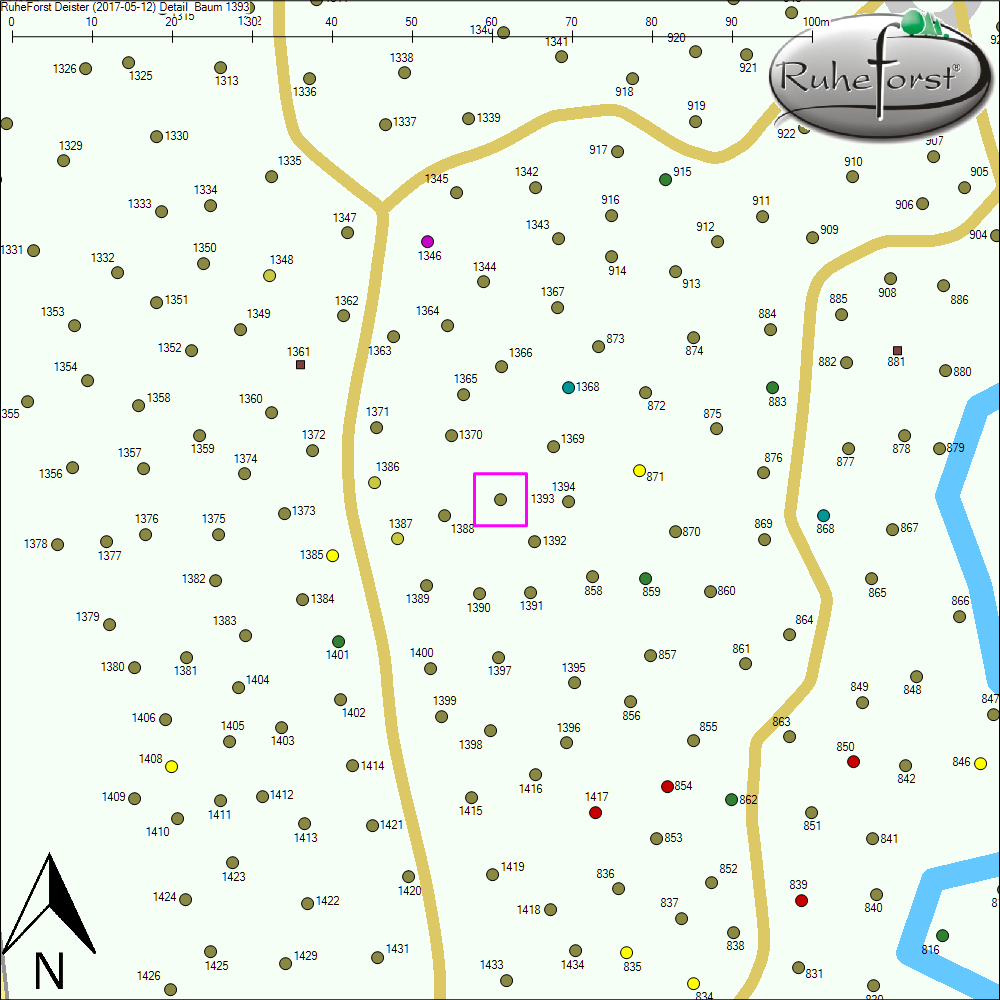 Detailkarte zu Baum 1393