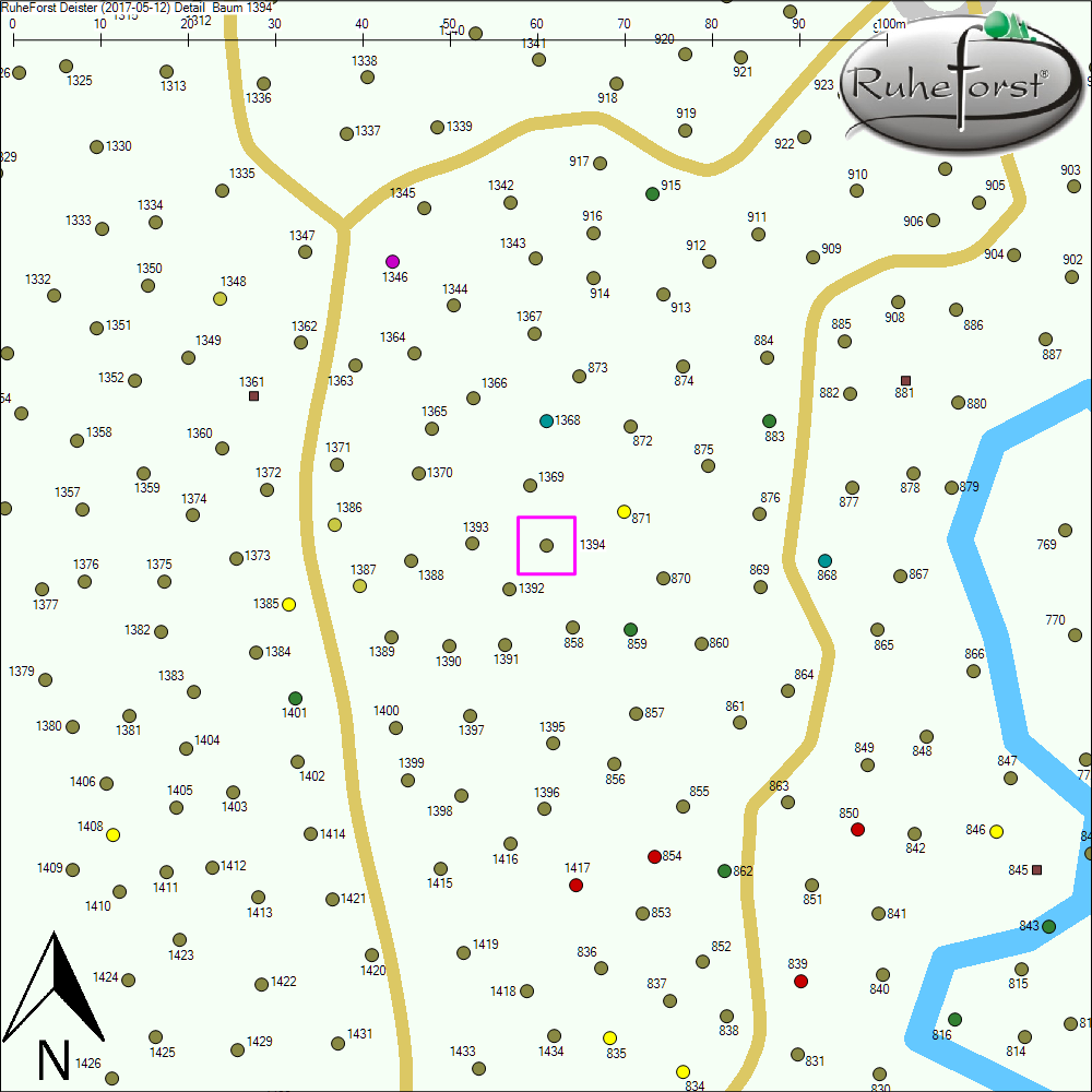 Detailkarte zu Baum 1394