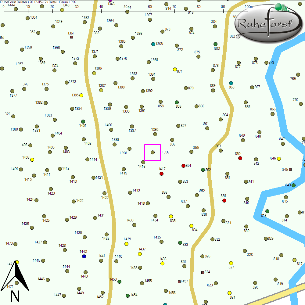 Detailkarte zu Baum 1396