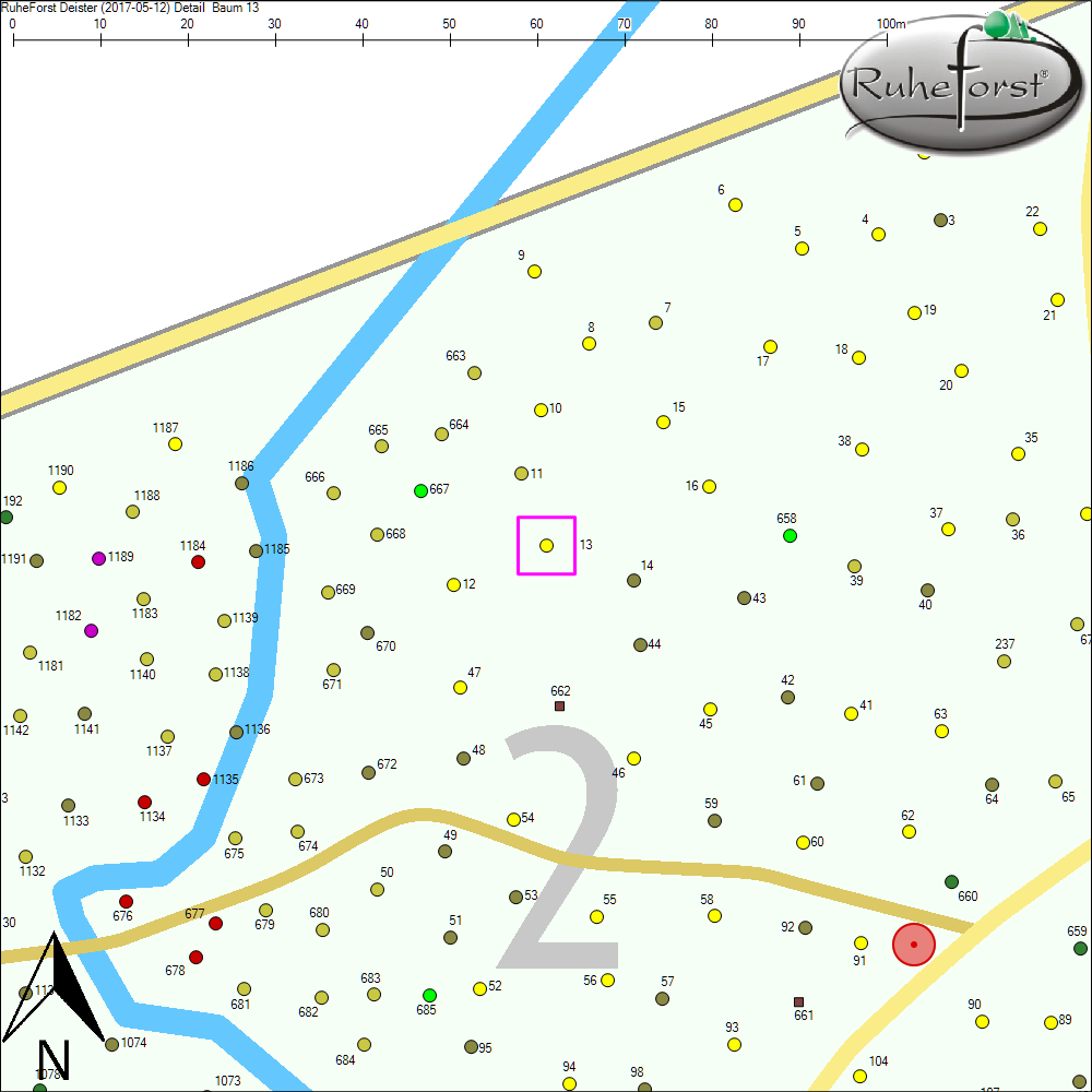 Detailkarte zu Baum 13