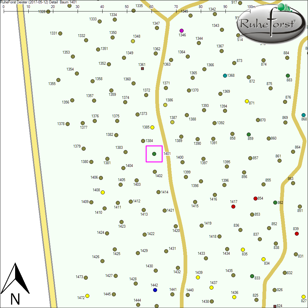 Detailkarte zu Baum 1401