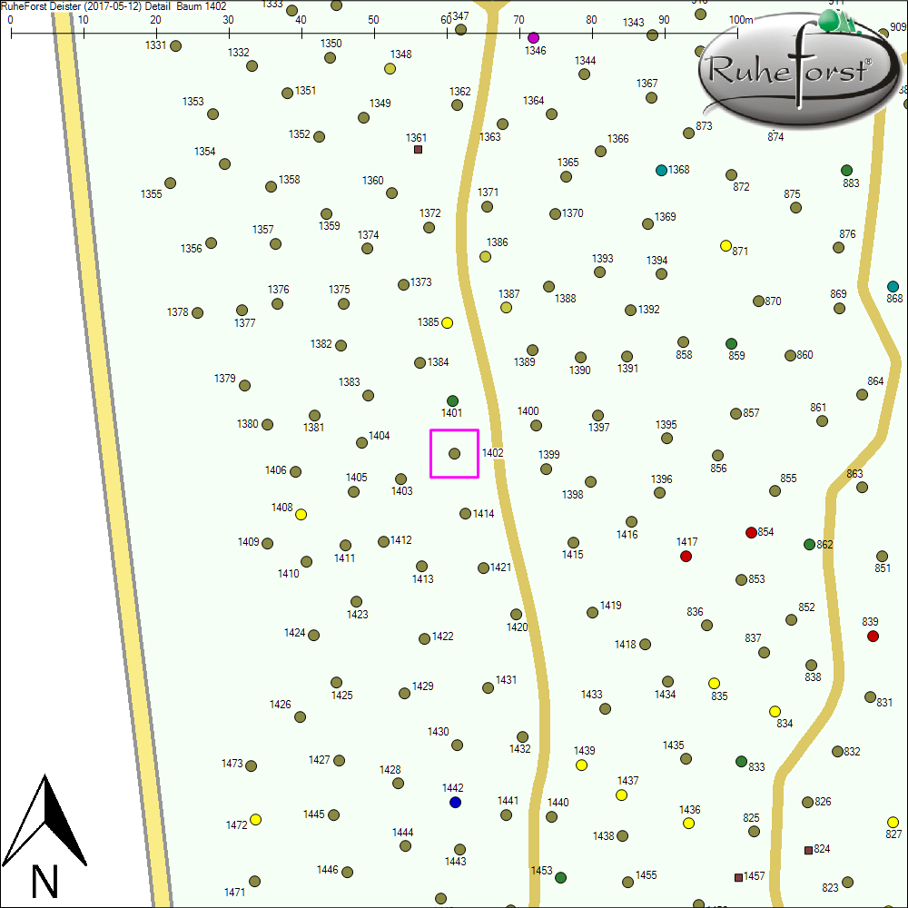 Detailkarte zu Baum 1402