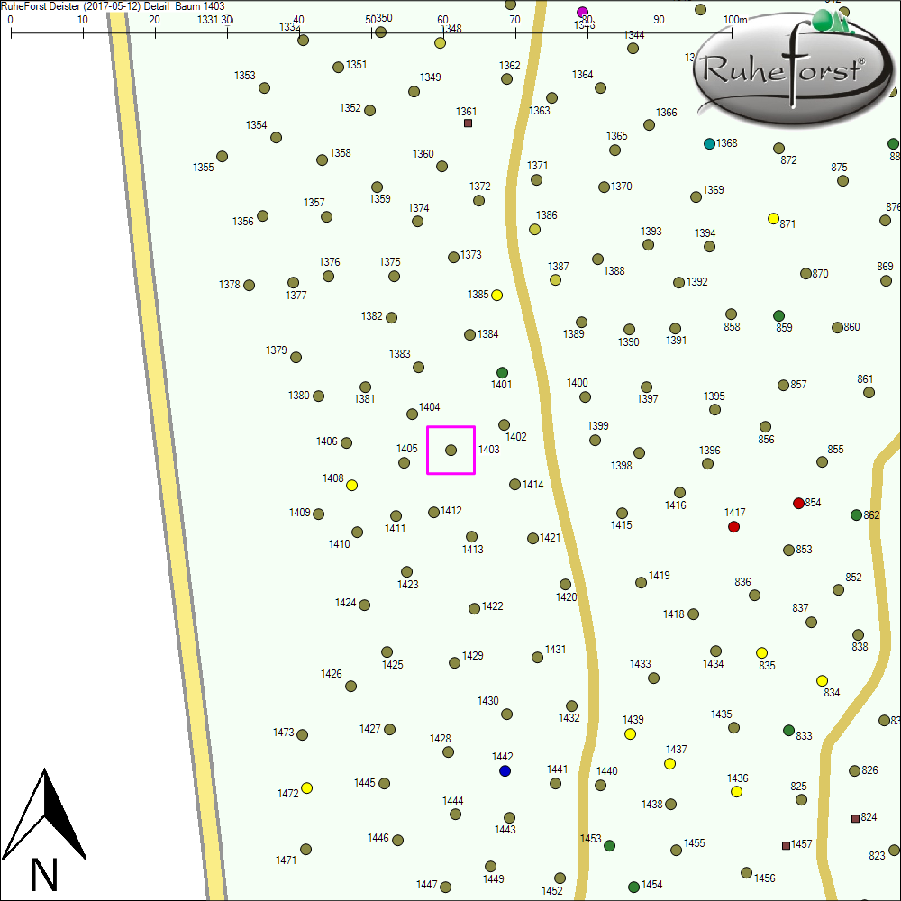 Detailkarte zu Baum 1403