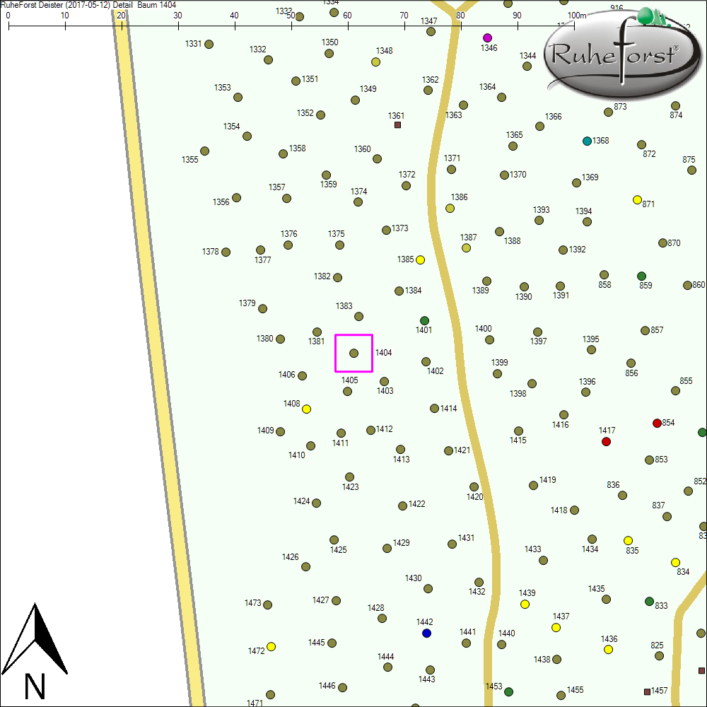Detailkarte zu Baum 1404