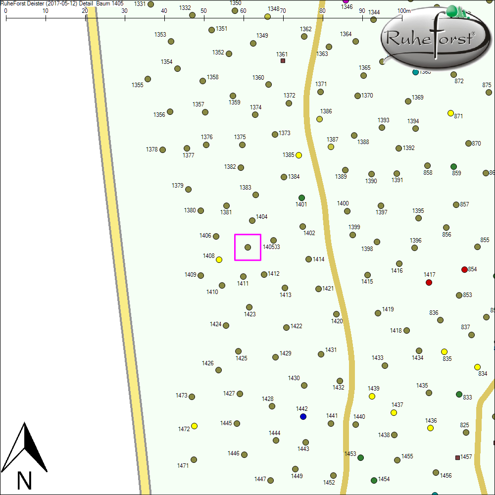 Detailkarte zu Baum 1405