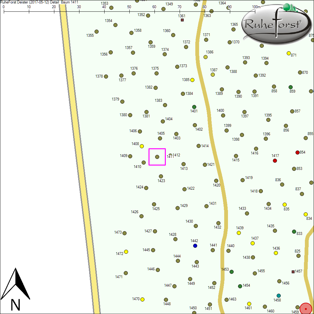 Detailkarte zu Baum 1411