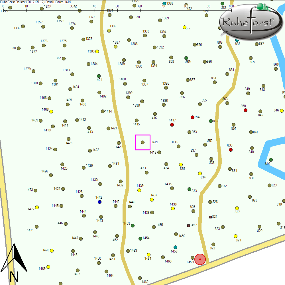 Detailkarte zu Baum 1419