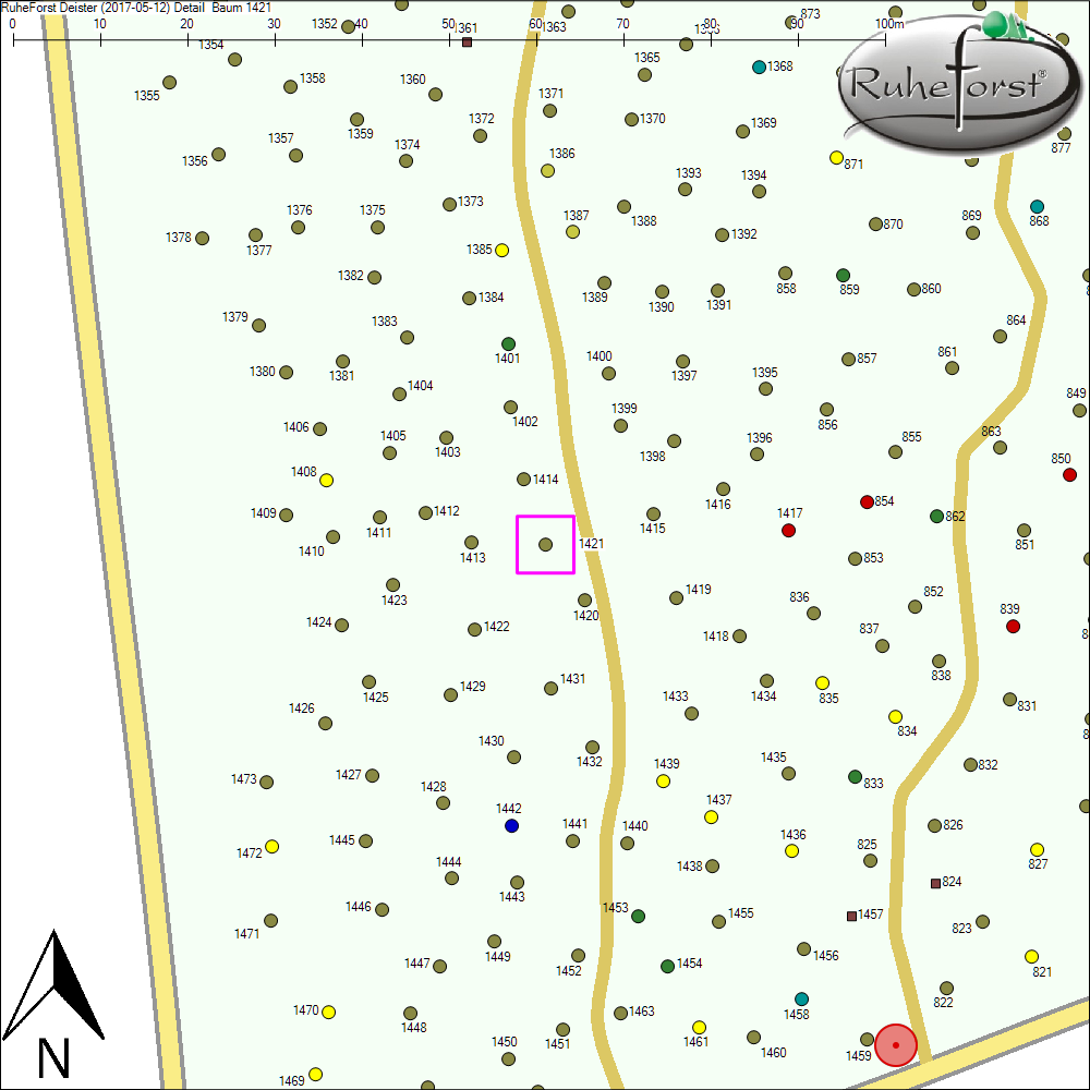 Detailkarte zu Baum 1421