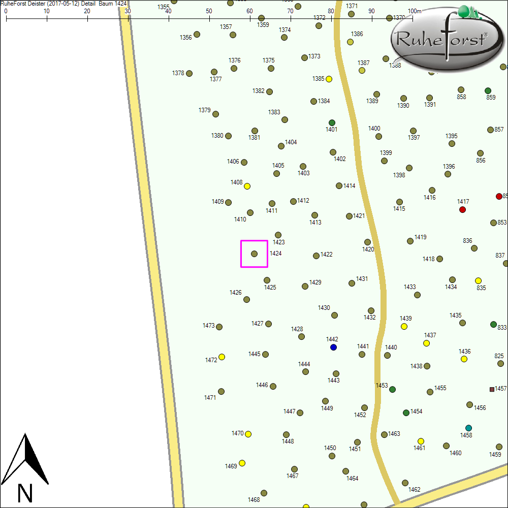 Detailkarte zu Baum 1424