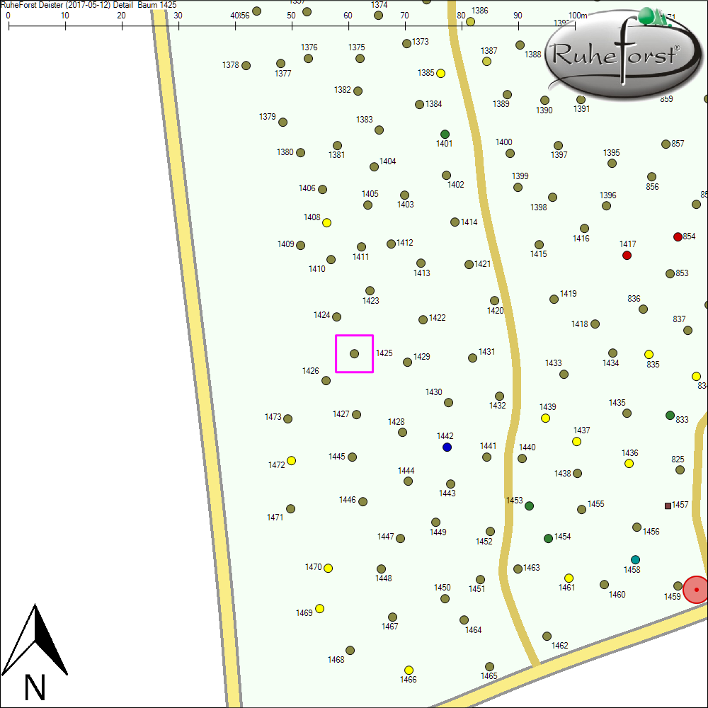 Detailkarte zu Baum 1425