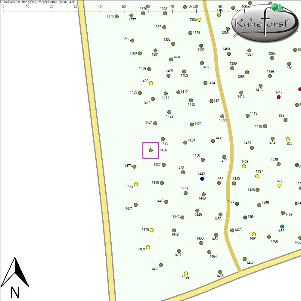Detailkarte zu Baum 1426
