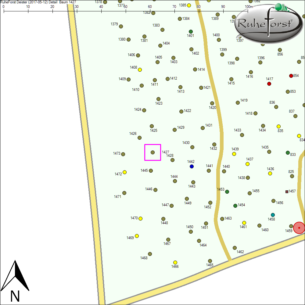 Detailkarte zu Baum 1427