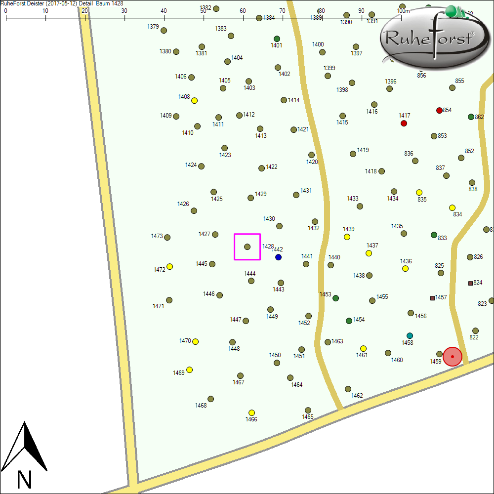 Detailkarte zu Baum 1428