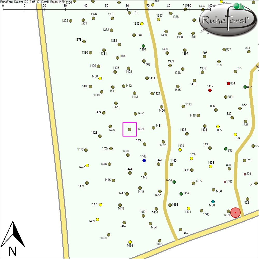 Detailkarte zu Baum 1429