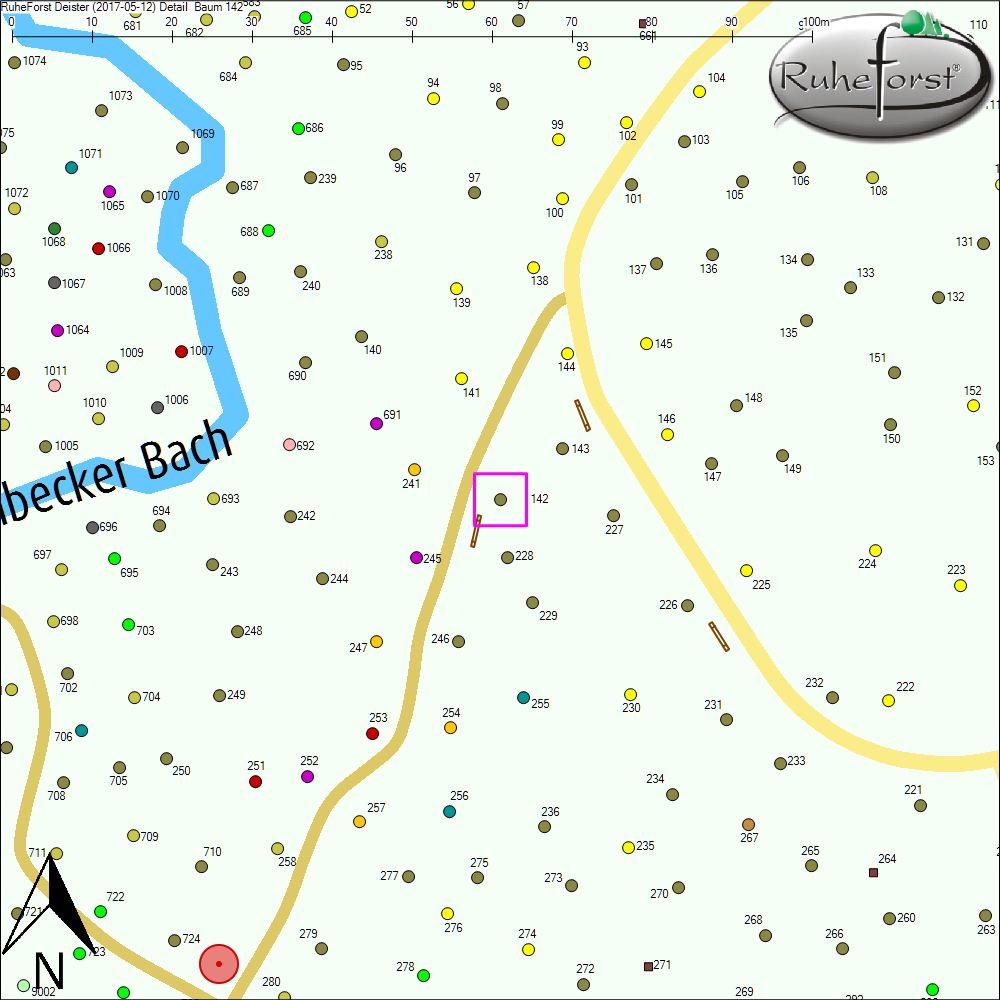 Detailkarte zu Baum 142