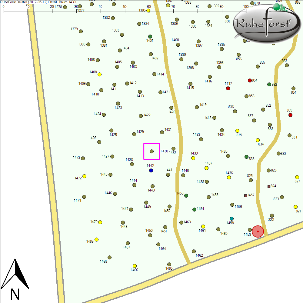 Detailkarte zu Baum 1430