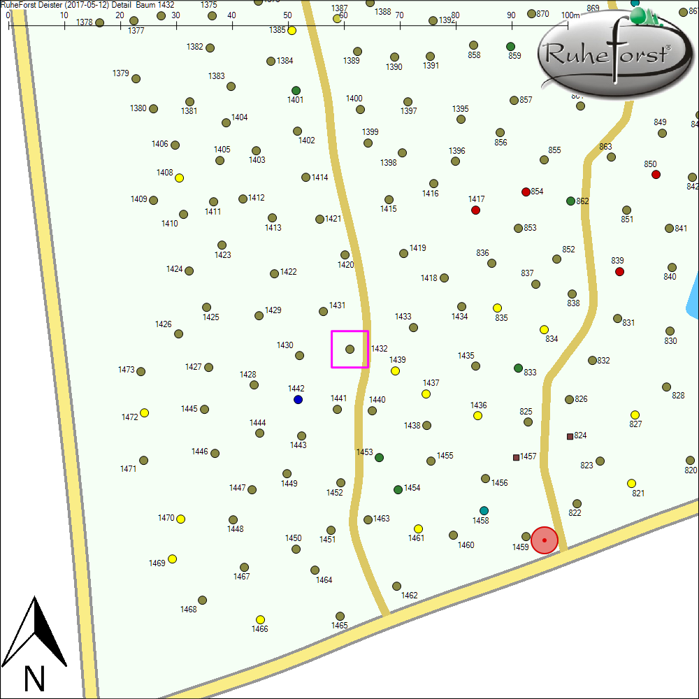 Detailkarte zu Baum 1432