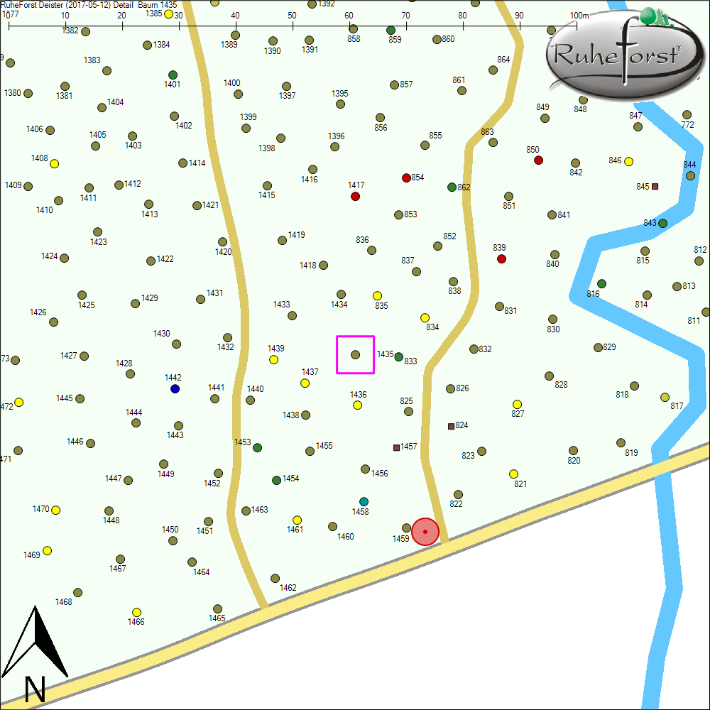 Detailkarte zu Baum 1435