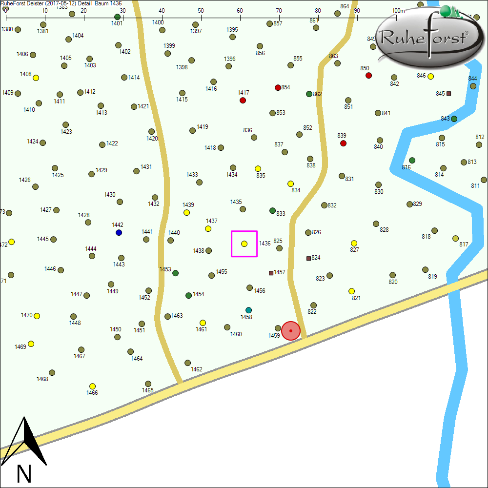 Detailkarte zu Baum 1436
