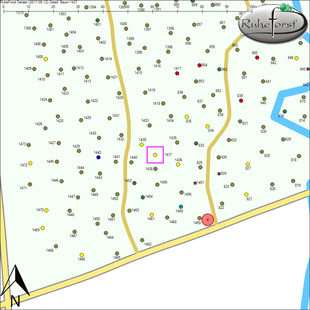 Detailkarte zu Baum 1437