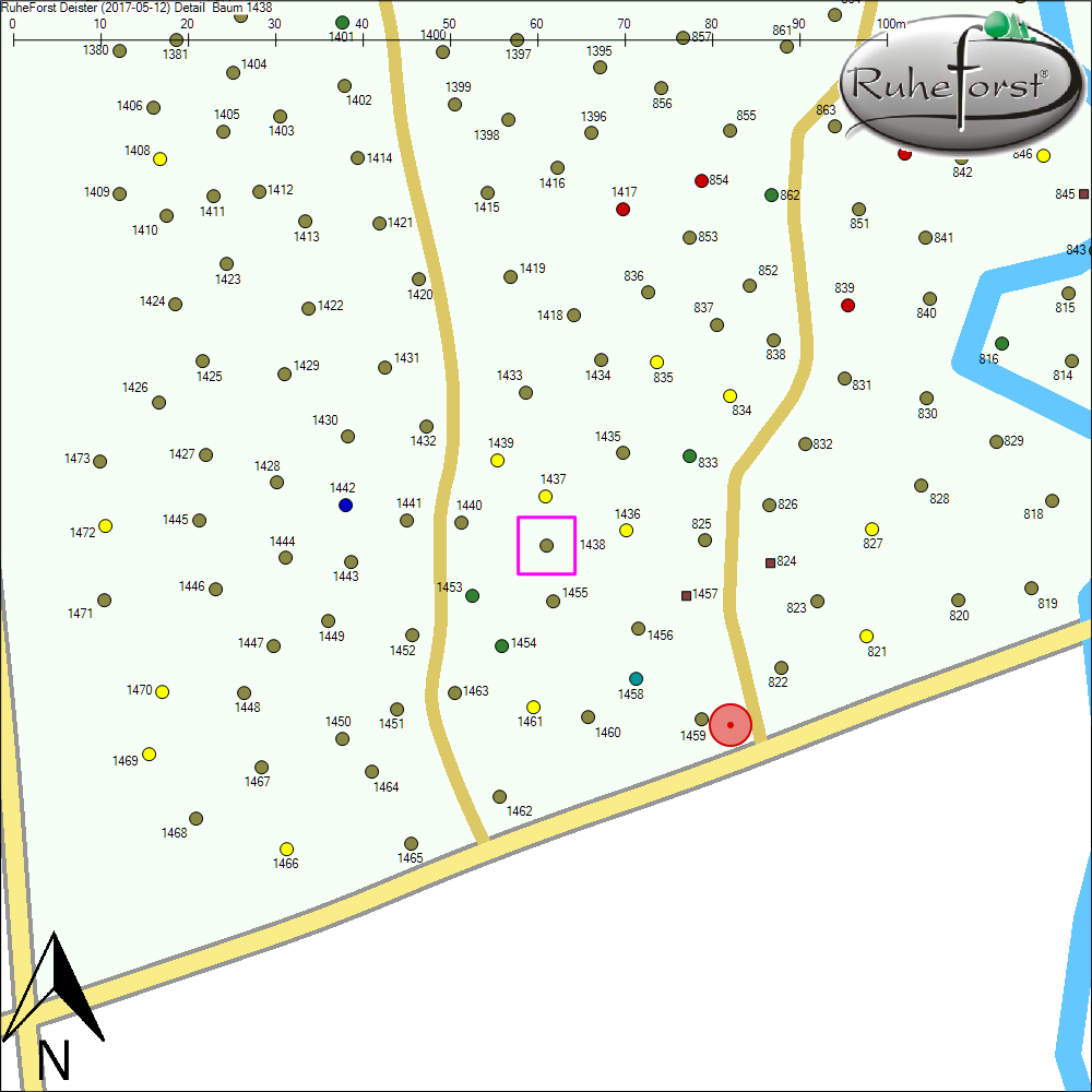 Detailkarte zu Baum 1438