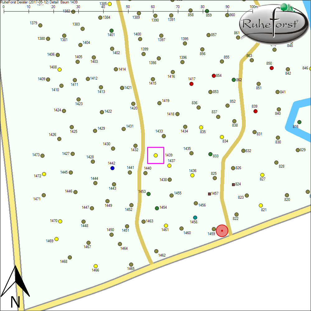 Detailkarte zu Baum 1439