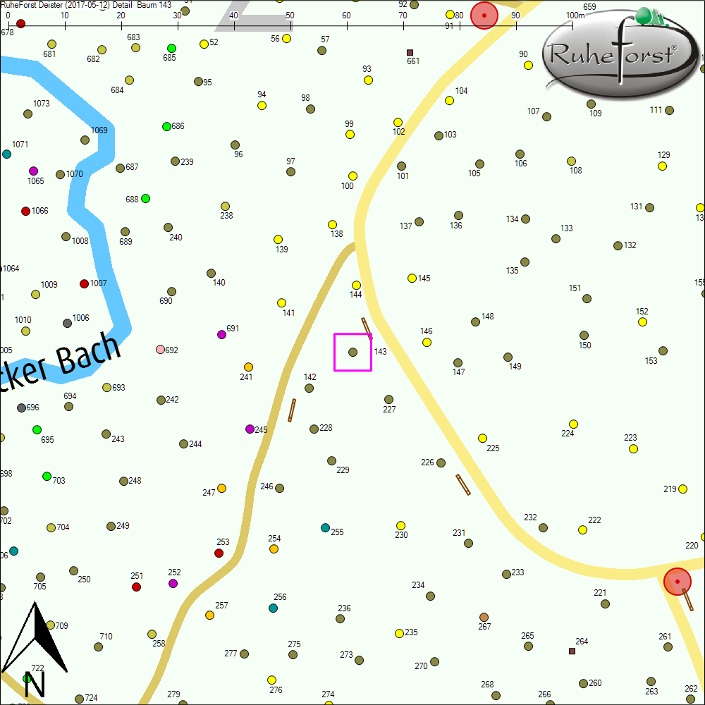 Detailkarte zu Baum 143