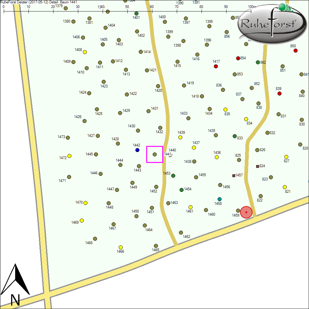 Detailkarte zu Baum 1441