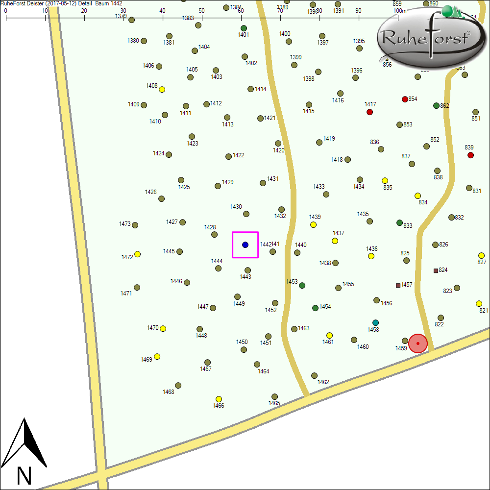 Detailkarte zu Baum 1442