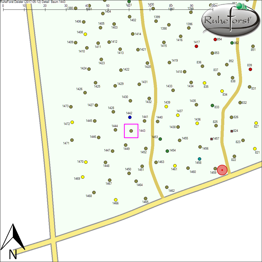 Detailkarte zu Baum 1443