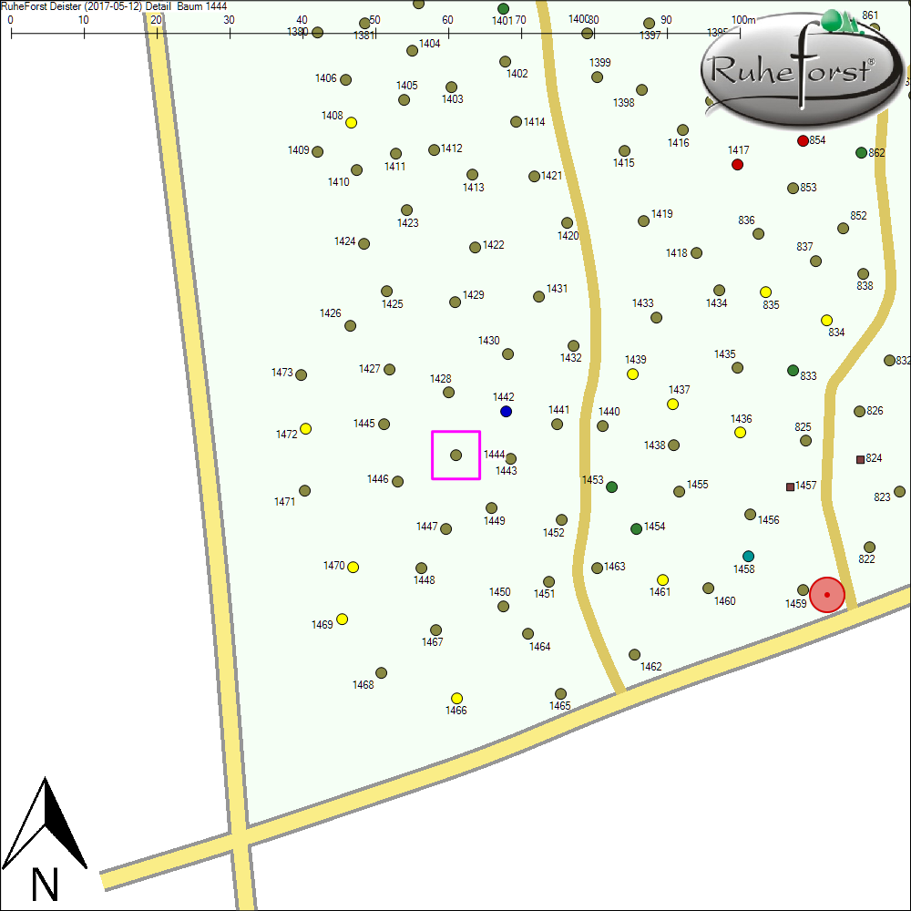 Detailkarte zu Baum 1444