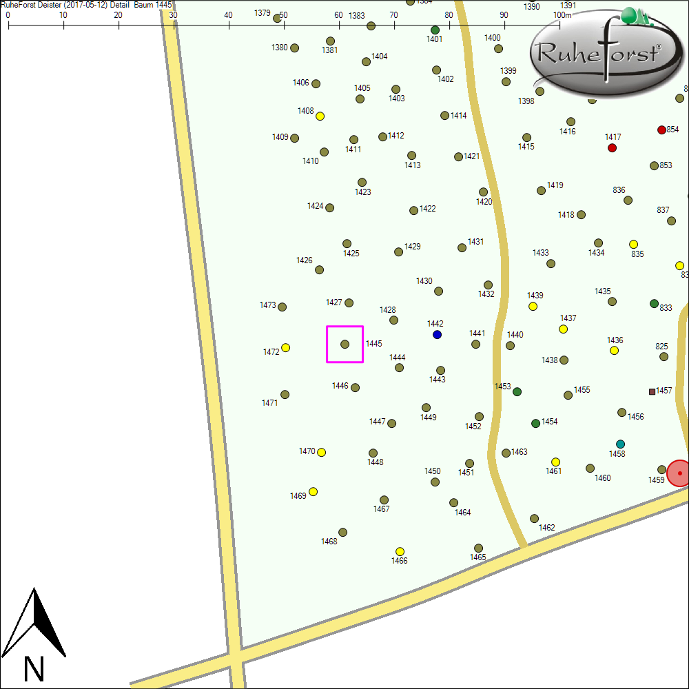 Detailkarte zu Baum 1445