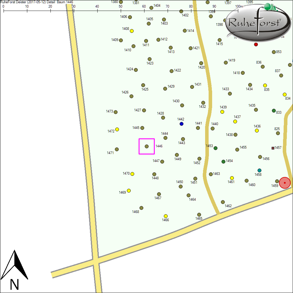 Detailkarte zu Baum 1446