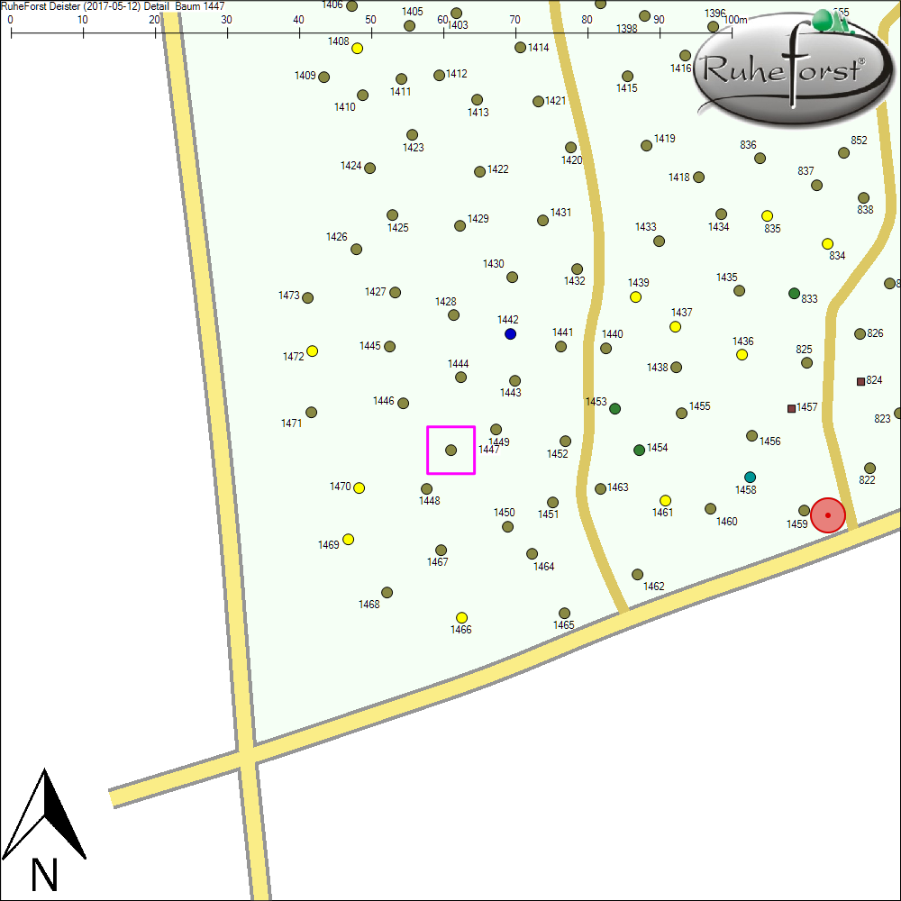 Detailkarte zu Baum 1447