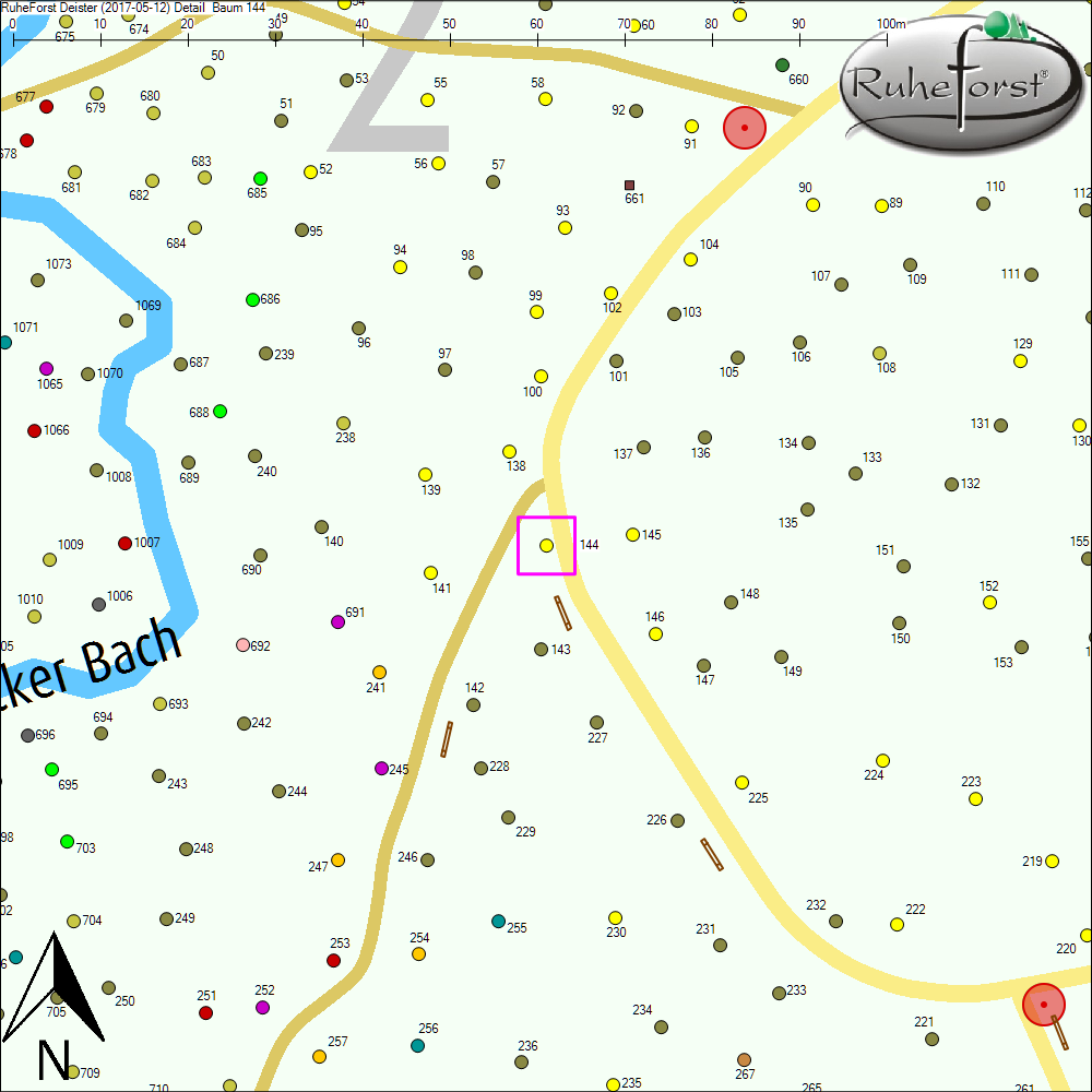 Detailkarte zu Baum 144