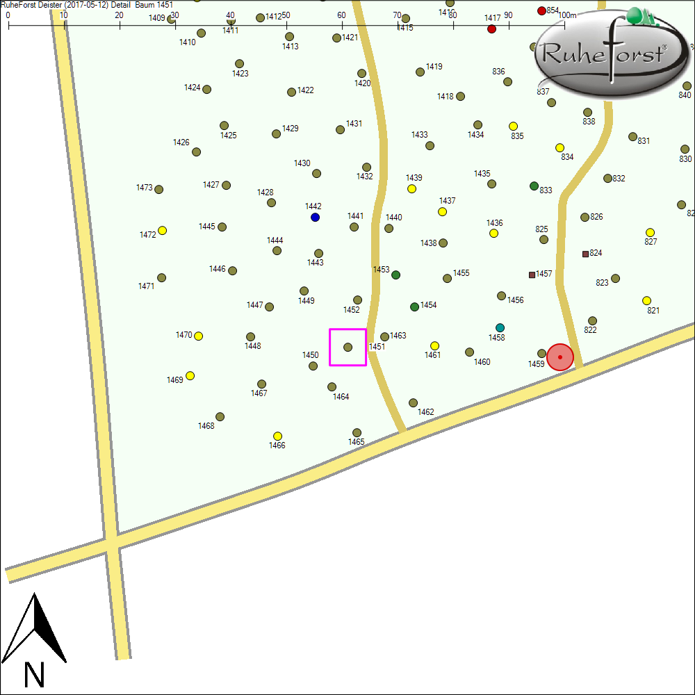 Detailkarte zu Baum 1451