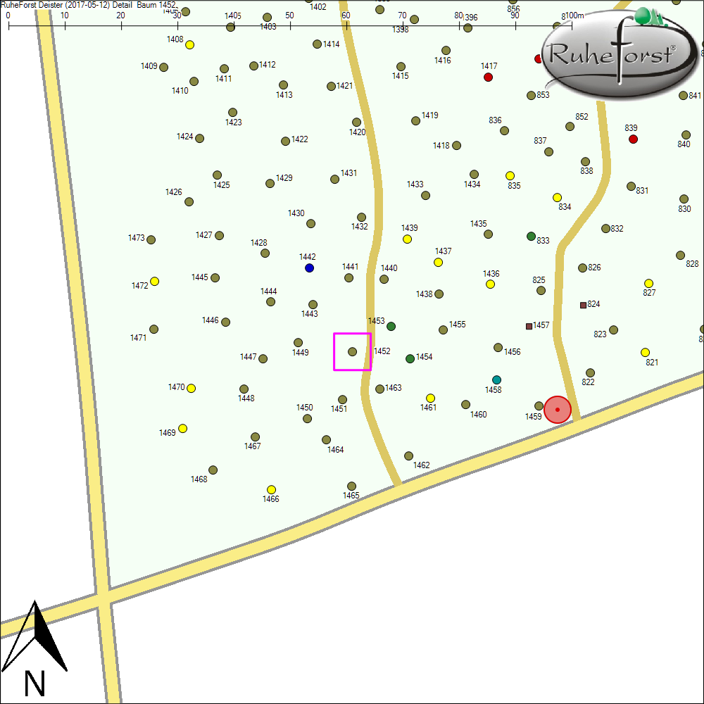 Detailkarte zu Baum 1452