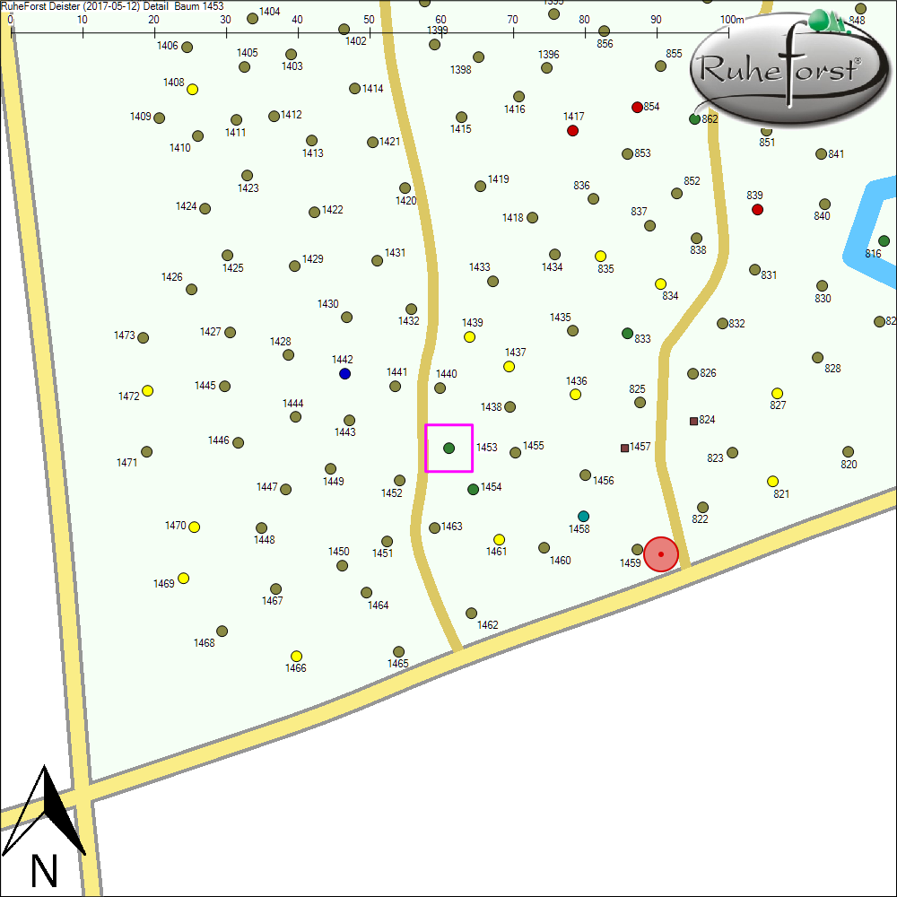 Detailkarte zu Baum 1453