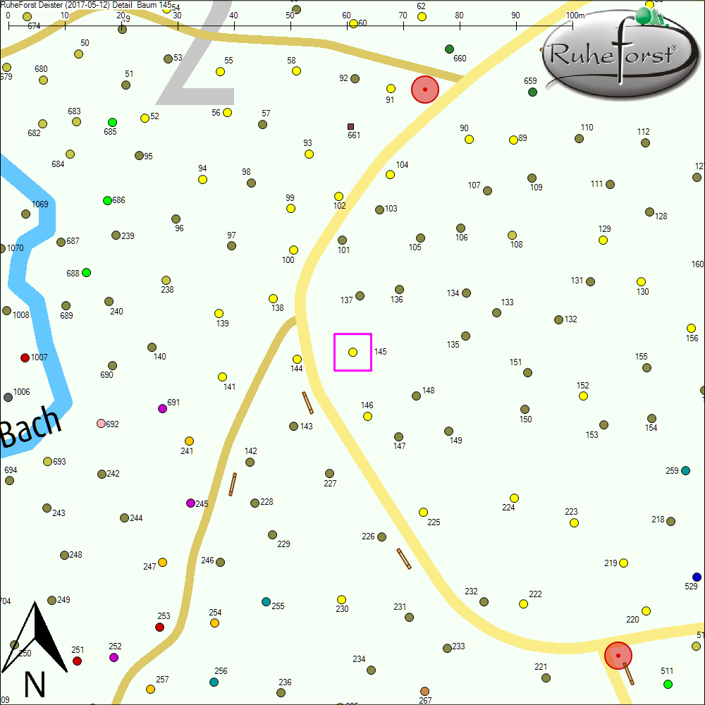 Detailkarte zu Baum 145
