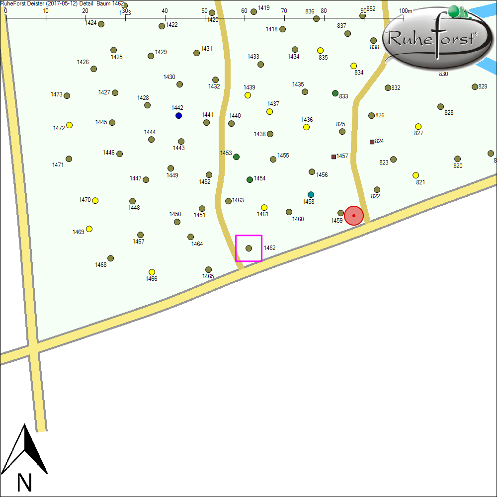 Detailkarte zu Baum 1462
